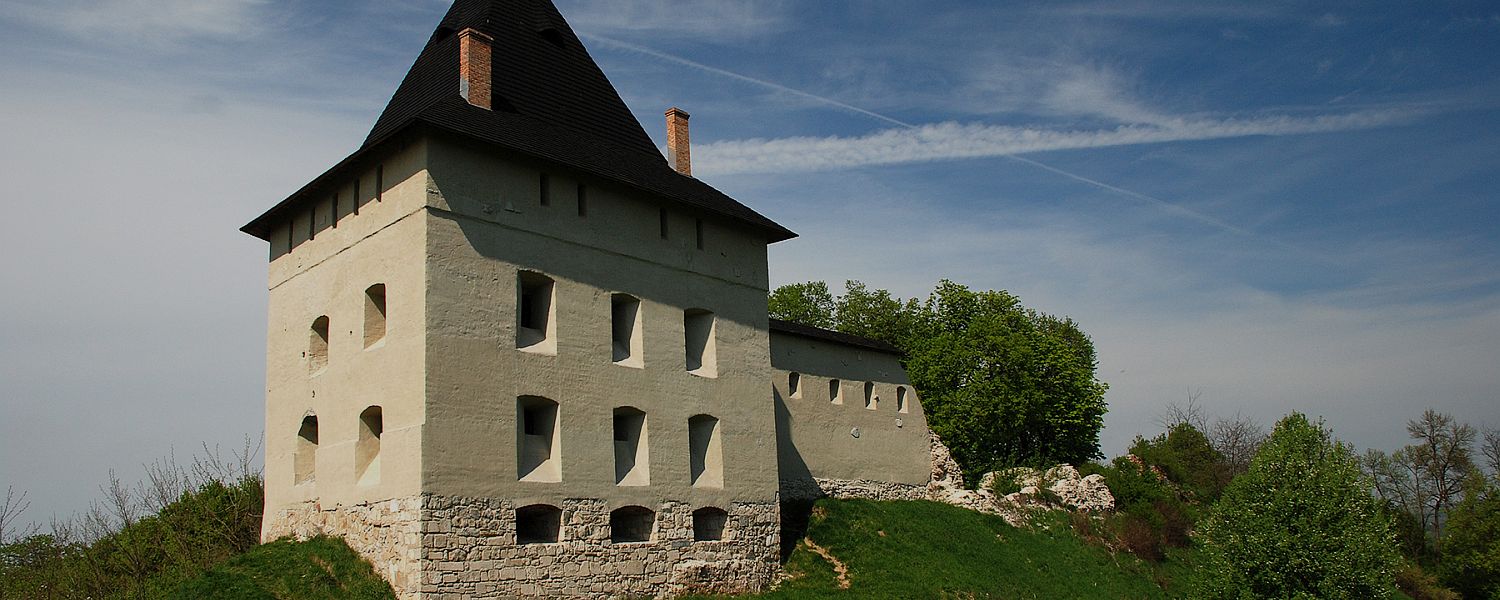 Photo of Halych Castle